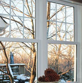 Double-Hung Windows